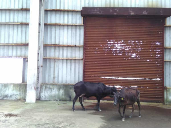 టాటా నానో సింగూరు ప్లాంటు