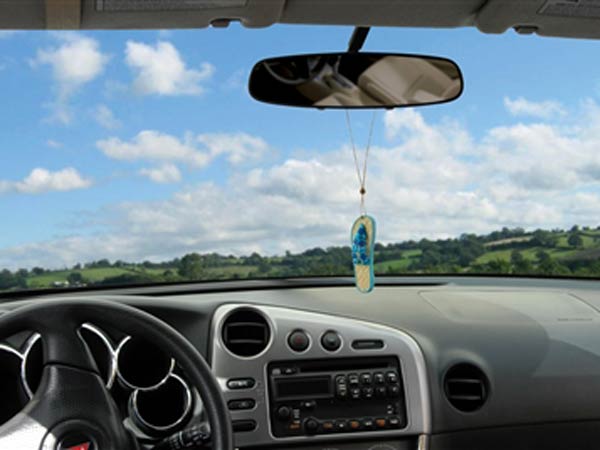 కారు డ్యాష్ బోర్డులో దేవుని ప్రతిమలు బ్యాన్