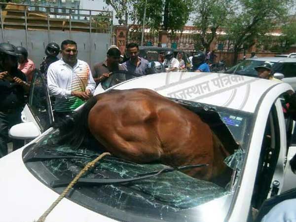 కారు మీదకు దూసుకెళ్లిన అశ్వం