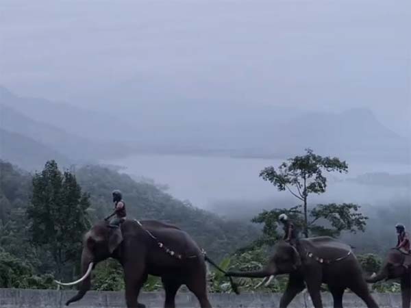 బజాజ్ డామినర్ యాడ్ వీడియో