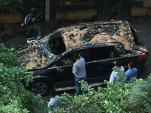 టాటా హెక్సా కూలిన భారీ వృక్షం