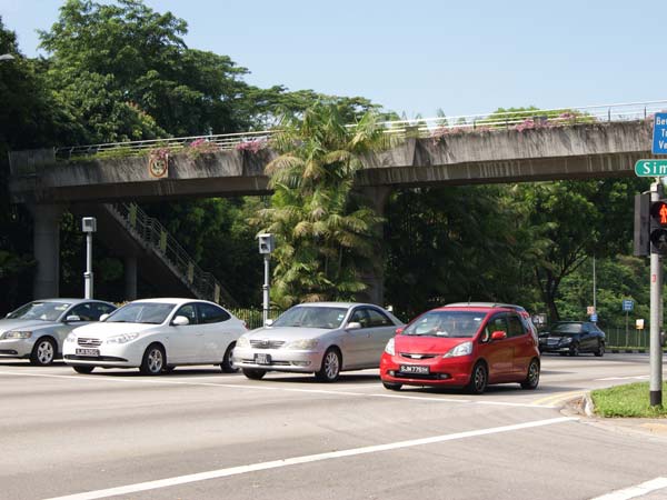 కొత్త కార్ల రిజిస్ట్రేషన్ నిలిపేసిన సింగపూర్