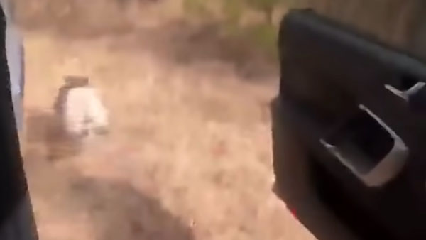 చలికి తట్టుకోలేక కారులో దూరిన వింత జివి....! చలికి తట్టుకోలేక కారులో దూరిన వింత జివి....!