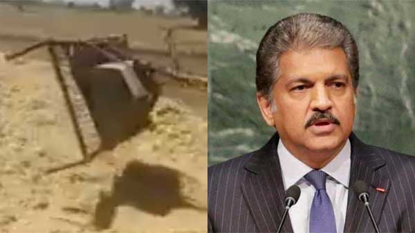 సాధారణ రైతును ప్రశంసించిన ఆనంద్ మహీంద్ర...ఎందుకో తెలుసా? 