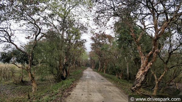 స్వర్గలోకపు అంచుల్లో హిమాలయన్ జర్నీ..