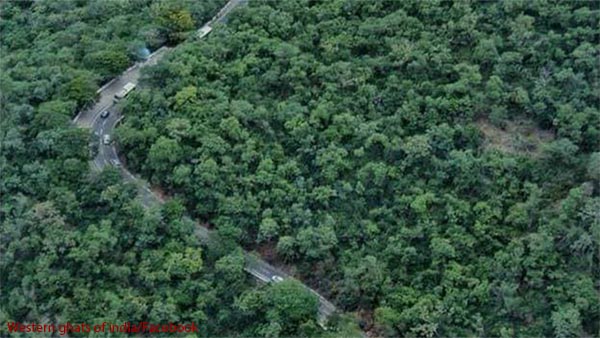 మోటార్ సైకిల్ ను చేస్ చేసిన పులి [వీడియో]