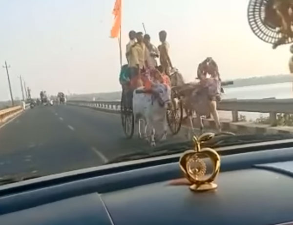 హైవే మీద కారుని డీ కొన్న ఎద్దుల బండి [వీడియో]