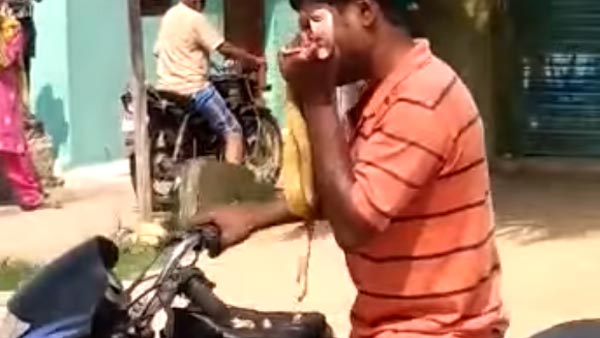 మద్యం మత్తులో పామునే కొరికిన మహానుభావుడు : [వీడియో]