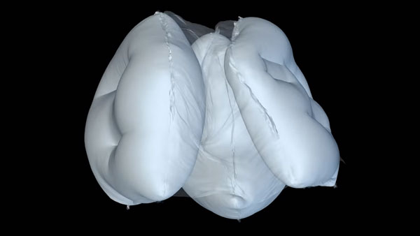 ఈ ఎయిర్‌బ్యాగ్స్‌తో తల, మెదడు భద్రం - అక్యురా కొత్త ప్రయోగం!