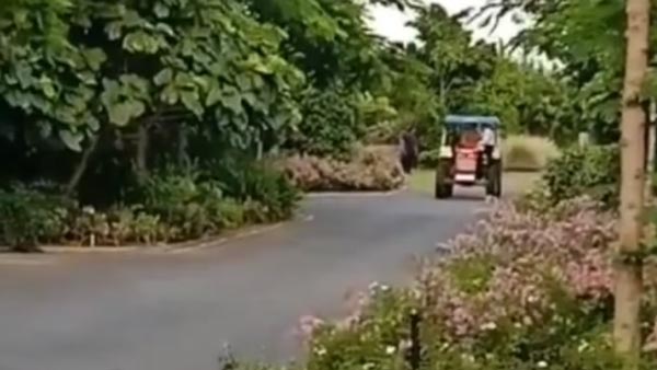 లాక్‌డౌన్ లో కొత్త వాహనం నడుపుతూ కనిపించిన M.S ధోని [వీడియో]