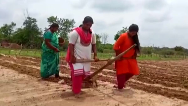 వ్యవసాయ పనుల్లో కాడెద్దులుగా మారిన అక్కా చెల్లెలు ; చలించిపోయి ట్రాక్టర్ ఇచ్చిన సోనూ సూద్