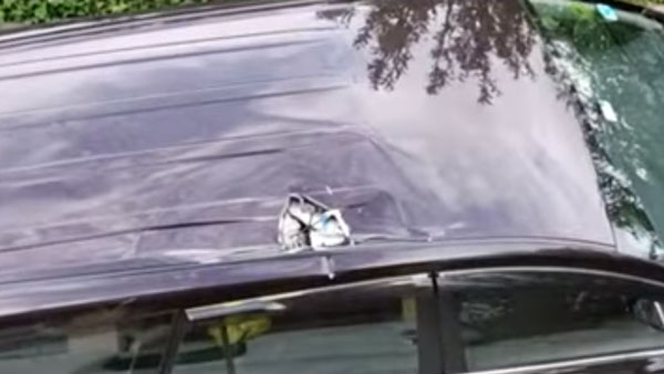 ఈ టయోటా ఇన్నోవాలోని ప్రయాణీకులకు చాలా లక్కీ ; ఎందుకో చూడండి ! ఈ టయోటా ఇన్నోవాలోని ప్రయాణీకులకు చాలా లక్కీ ; ఎందుకో చూడండి !