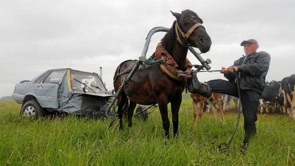 ఇది చూసారా.. ఆడి కార్ గుర్రపు బండిగా మారింది, ఎందుకో తెలుసా