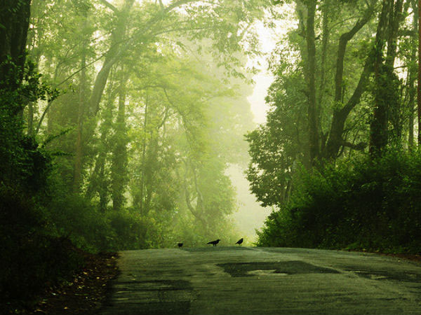 లాంగ్ డ్రైవ్ చేయాలనుకునే వారికి 5 ఉత్తమ పర్యాటక ప్రదేశాలు, ఇవే 