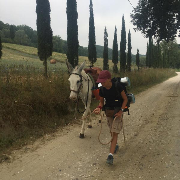 ఇది చూసారా.. బామ్మకోసం 4 దేశాలు కాలినడకతో ప్రయాణించిన 10 ఏళ్ల బాలుడు