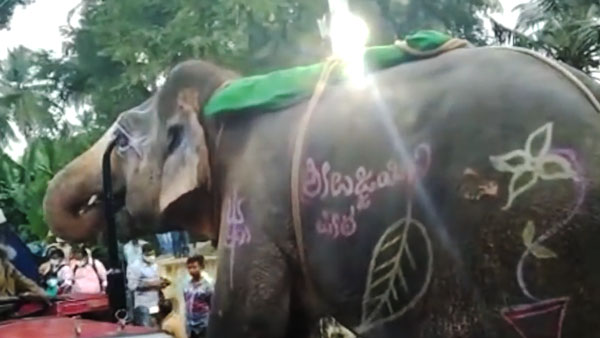 బాగా దాహంగా ఉన్న ఏనుగు రోడ్డుపై ఏం చేసిందో తెలుసా.. అయితే వీడియో చూడండి