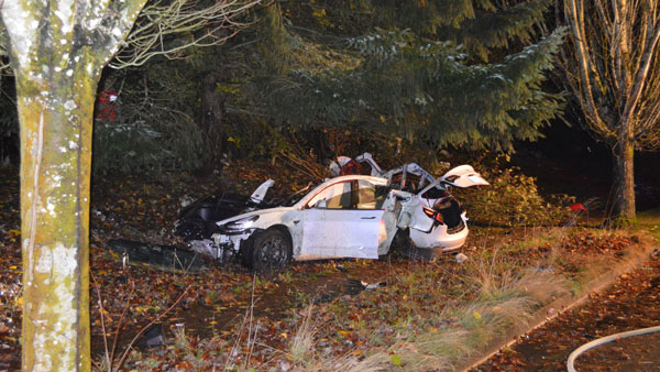 చెట్టుని డీ కొన్న ఖరీదైన టెస్లా కార్.. ఈ ప్రమాదం ఎలా జరిగిందో తెలుసా ?