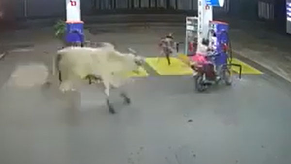 నిజంగా ఈ బైకర్స్ అదృష్టవంతులే సుమీ.. ఎందుకో వీడియో చూడండి