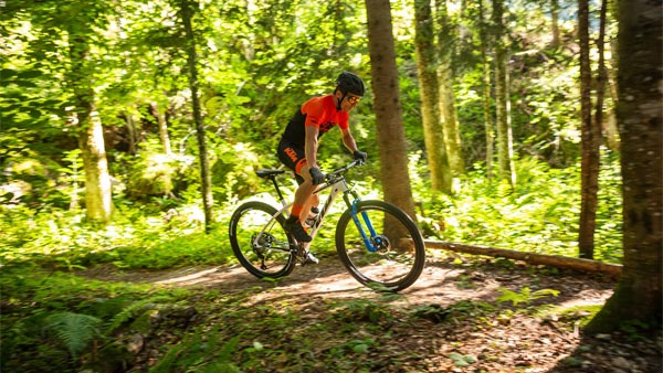 ఈ సైకిళ్ల ప్రారంభ ధర రూ.30,000; వీటిలో అంత స్పెషల్ ఏంటంటే..