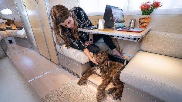 ఈ వాహనంలో మనుషులకు మాత్రమే కాదు, కుక్కలకు కూడా లగ్జరీ ఫీచర్స్.. ఆ వాహనాన్ని మీరు చూసారా..!