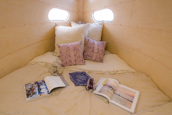 ఈ వాహనంలో మనుషులకు మాత్రమే కాదు, కుక్కలకు కూడా లగ్జరీ ఫీచర్స్.. ఆ వాహనాన్ని మీరు చూసారా..!