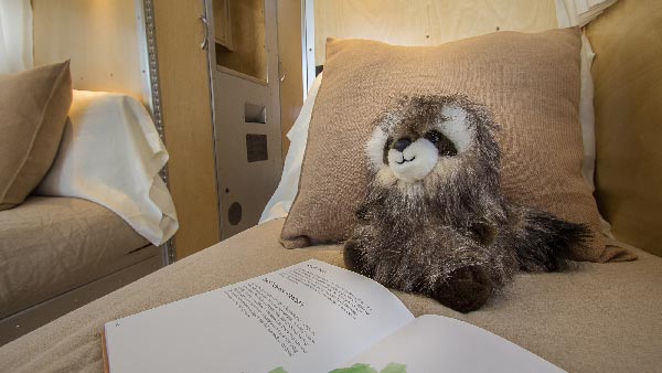 ఈ వాహనంలో మనుషులకు మాత్రమే కాదు, కుక్కలకు కూడా లగ్జరీ ఫీచర్స్.. ఆ వాహనాన్ని మీరు చూసారా..!