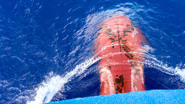 షిప్పుల గురించి తెలియని ఎన్నో ఆసక్తికర విషయాలు.. ఇక్కడ మీకోసం..ఓ లుక్కేసెయ్యండి