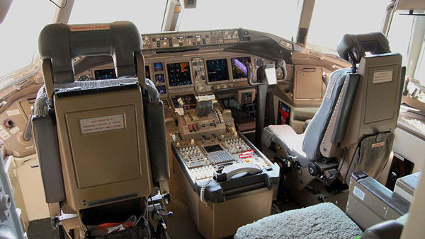 మీకు తెలుసా.. పైలట్ సీట్లలో గొర్రె చర్మం ఎందుకు ఉపయోగిస్తారో.. అయితే ఇది చూడండి