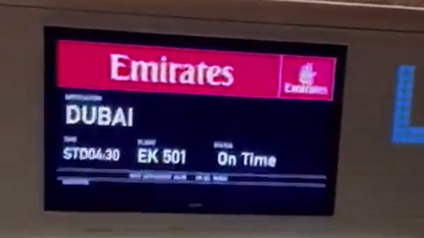 360 సీట్ల విమానంలో ఒక్కడే ప్రయాణికుడు.. వినడానికి ఆశ్చర్యంగా ఉన్నా, ఇది నిజం