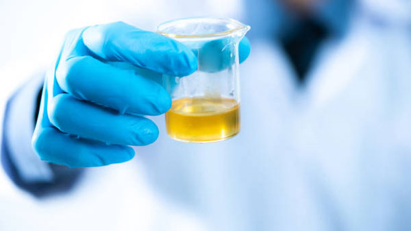 కోడి వ్యర్థాల నుంచి బయోడీజిల్.. లీటరుకి 38 కి.మీ మైలేజ్, ధర కూడా చాలా తక్కువ