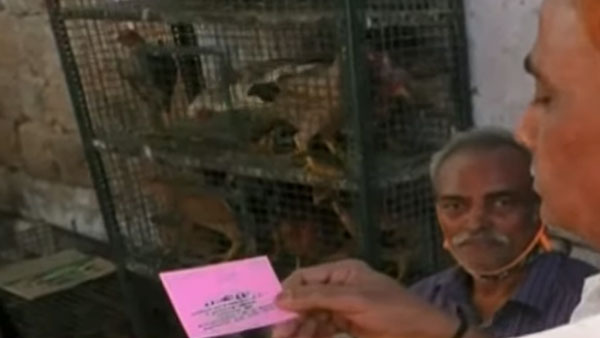 ఒక కేజీ మాంసం కొంటే ఒక లీటర్ పెట్రోల్ ఫ్రీ