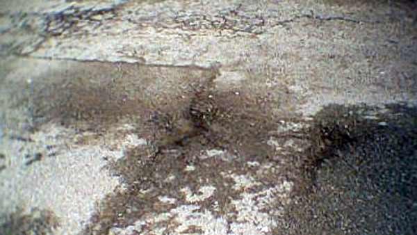 హ్యాట్సాఫ్.. 11 సంవత్సరాలుగా సొంత డబ్బుతో రోడ్లపై గుంతలు పూడుస్తున్న వృద్ధ జంట