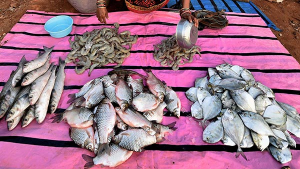 మీకు తెలుసా.. అక్కడ చేపలు కొంటే పెట్రోల్ ఫ్రీ 