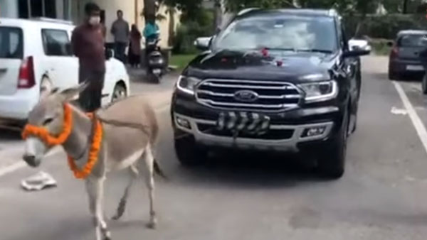 సర్వీస్ విషయంలో చిర్రెత్తిన ఓనర్.. కారును గాడిదకు కట్టి డీలర్‌షిప్‌కు.. 