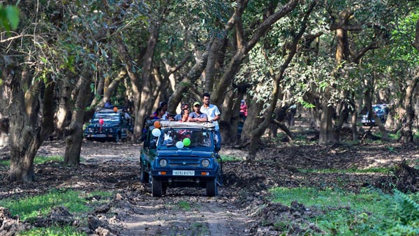 జింకలకు ఆహారం అందించి ఇబ్బందుల్లో పడ్డ జర్నలిస్ట్; ఎలా అనుకుంటున్నారా?