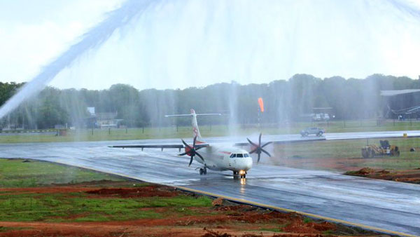 చీమలే కదా అనుకోకండి.. ప్రయాణానికి సిద్దమైన విమానాన్ని రద్దు చేసాయ్ 