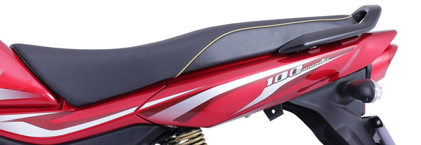 పెట్రో మంట వల్ల పెరిగిన ప్లాటినా సేల్స్; అధిక మైలేజ్ బైక్‌లకు పెరుగుతున్న ఆదరణ!