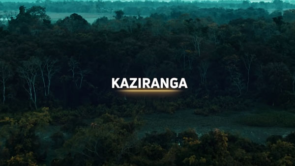మనసు దోచే 'Tata Kaziranga Editions' కొత్త TVC వీడియో.. తప్పకుండా చూడాల్సిందే