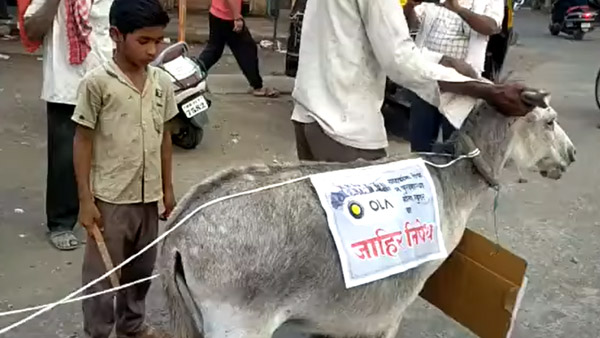 ముందుకెళ్లనని మొరాయించిన ఓలా ఎలక్ట్రిక్ స్కూటర్.. గాడిదకు కట్టి ఊరేగించిన ఓనర్..!