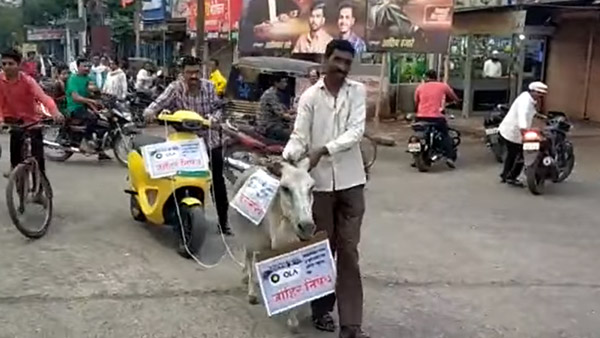 ముందుకెళ్లనని మొరాయించిన ఓలా ఎలక్ట్రిక్ స్కూటర్.. గాడిదకు కట్టి ఊరేగించిన ఓనర్..!