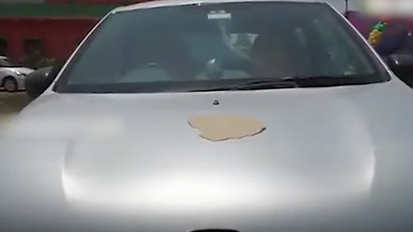 ఎండలు ఎంతలా మండుతున్నాయంటే.. కారుపై రొట్టెలు కాల్చుకుని తినేంతలా..: వైరల్ వీడియో