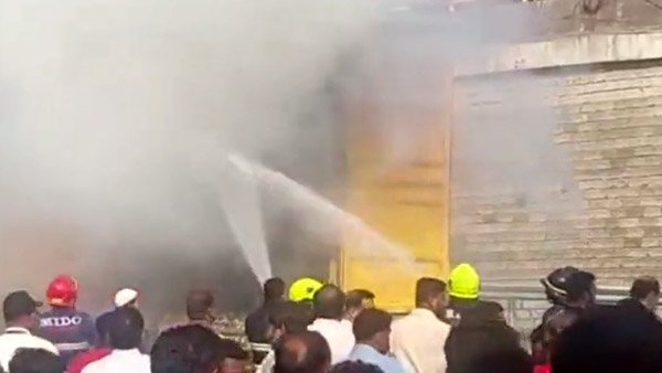 కొత్త ఎలక్ట్రిక్ వాహనాల విడుదలను ఆపమని మేము చెప్పలేదు: భారత ప్రభుత్వం