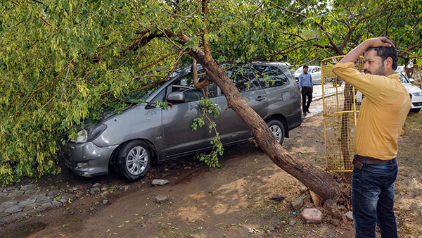 వాహనంపై చెట్టు విరిగిపడినా, వరదలో కొట్టుకుపోయినా వెహికల్ ఇన్సూరెన్స్ వర్తిస్తుందా?