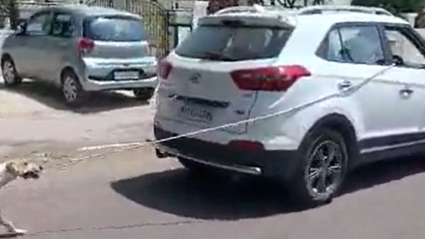 మానవత్వం మరచిపోయిన డాక్టర్.. కుక్కను ఇలా హింసించాడు: ఇదిగో వీడియో