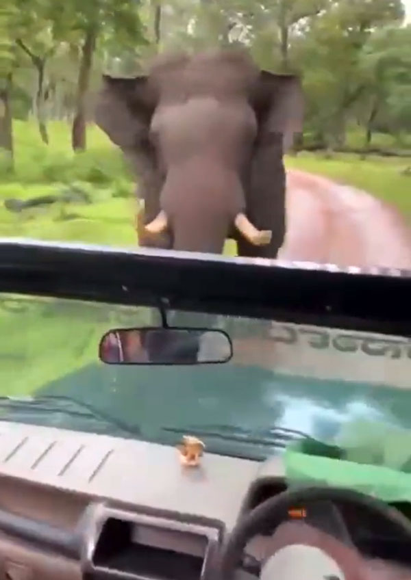 ప్రపంచంలోనే బెస్ట్ బొలెరో డ్రైవర్ ఇతడే అంటూ ప్రశంసించిన 'ఆనంద్ మహీంద్రా'.. కారణం తెలిస్తే మీరు కూడా అదే అంటారు