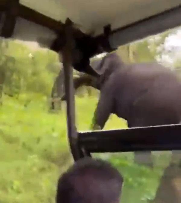 ప్రపంచంలోనే బెస్ట్ బొలెరో డ్రైవర్ ఇతడే అంటూ ప్రశంసించిన 'ఆనంద్ మహీంద్రా'.. కారణం తెలిస్తే మీరు కూడా అదే అంటారు