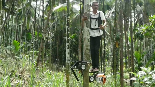 ట్రీ బైక్