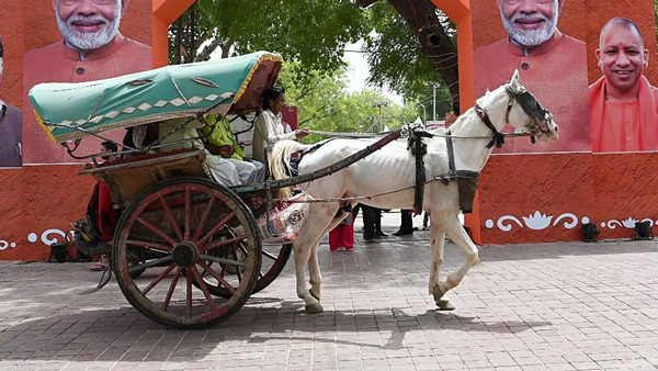 horse carriage horse carriage