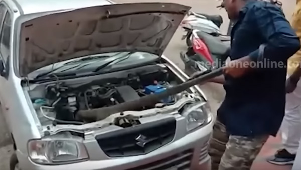 king cobra on car bonnet