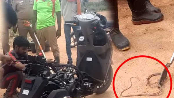 Snake-in-New-Scooter